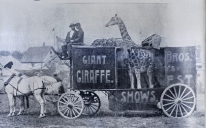 Circus photo
